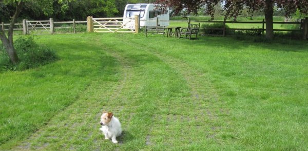geogrid reinforced field access